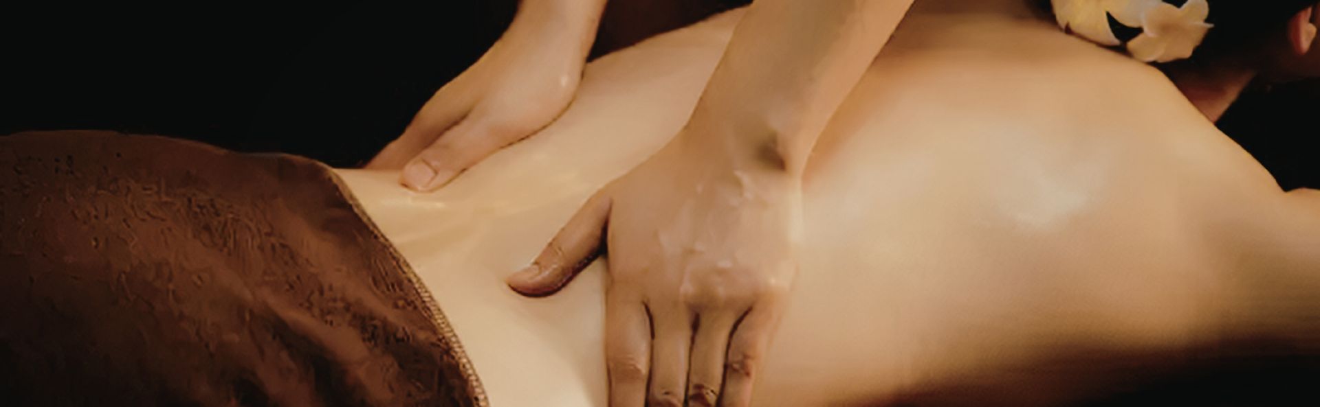 Bild: Symphonie der Zellen